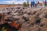 Big Island Volcano, Chocolate & Waterfall Adventure thumbnail 4