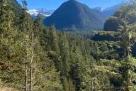 Seattle North Cascades Day Trip thumbnail 6