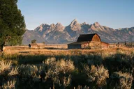 Grand Teton Wildlife & Biking Tour thumbnail 5