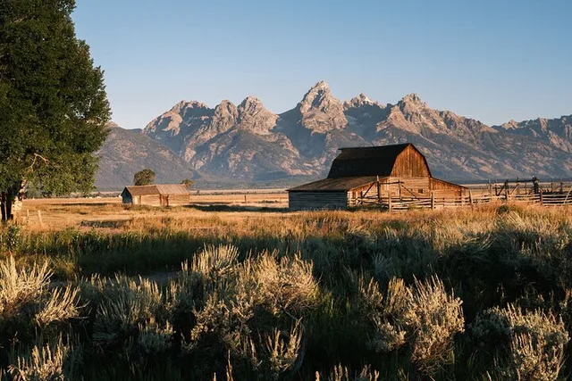 Grand Teton Wildlife & Biking Tour - Image 5