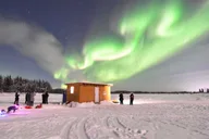 Fairbanks Dog Sledding and Mushing Experience thumbnail 4