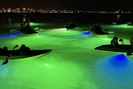 Sarasota Glass Bottom Kayak LED Night Tour thumbnail 4
