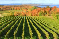 Traverse City Wine Tour on Old Mission Peninsula thumbnail 6
