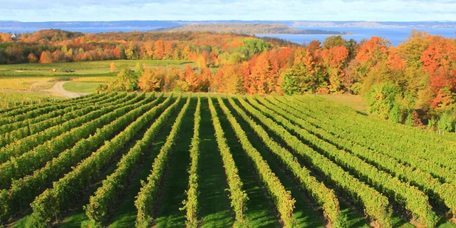 Traverse City Wine Tour on Old Mission Peninsula - Image 6