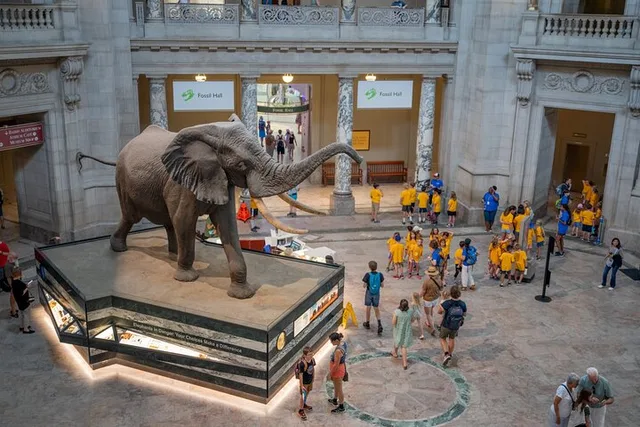 Washington DC Natural History Museum Guided Tour - Image 6