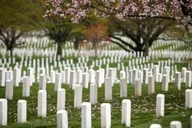Arlington Cemetery Guard Ceremony & Iwo Jima Memorial Tour 2.5 hr thumbnail 6