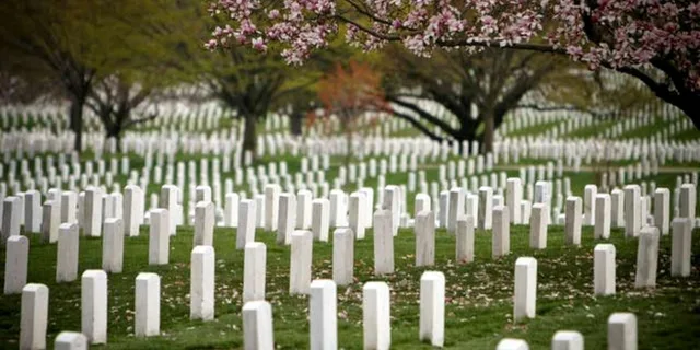 Arlington Cemetery Guard Ceremony & Iwo Jima Memorial Tour 2.5 hr - Image 6