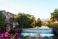 Pigeon Forge Smoky Mountains Guided Tour 6 hr thumbnail 4