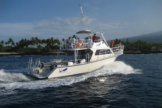 Kona Scuba Dive Boat Trip