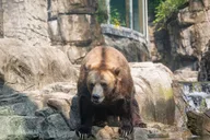 New York Central Park Zoo Entry Ticket thumbnail 2