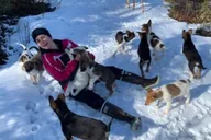 Willow Dog Sledding Adventure thumbnail 6
