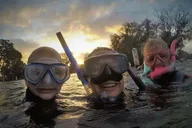Crystal River Manatee Swim Tour thumbnail 4