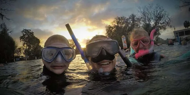 Crystal River Manatee Swim Tour - Image 4
