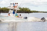 Marco Island Dolphin & Eco Tour 2 hr thumbnail 1
