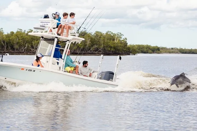 Marco Island Dolphin & Eco Tour 2 hr - Image 1