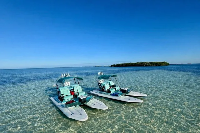 Key West Mini Catamaran Eco Tour 2 hr - Image 4