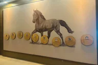Nashville Private Whiskey and Wine Tour thumbnail 6