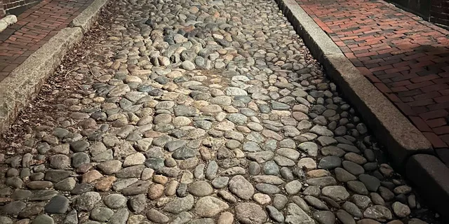 Boston Beacon Hill True Crime Walking Tour 2 hr - Image 3