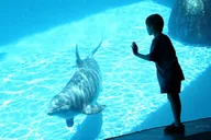 San Diego SeaWorld Park Admission thumbnail 5
