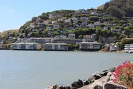San Francisco Muir Woods and Sausalito Tour 4 hr thumbnail 5