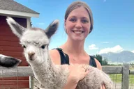Bozeman Alpaca and Llama Farm Tour thumbnail 3