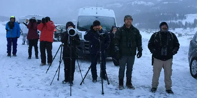 Bozeman Yellowstone Wolves and Winter Adventure 4 Days - Image 6