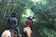 Maui Horseback Waterfall and Ocean Tour thumbnail 5