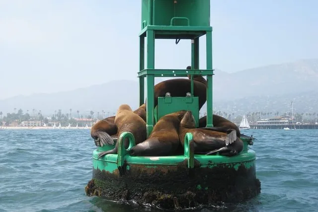 Santa Barbara Harbor Kayak Tour 75 min - Image 6