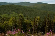 Fairbanks Evening Side by Side Tour thumbnail 3