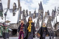 Orlando Day Trip from Miami with Theme Park Admission thumbnail 5