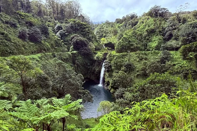 Maui Road to Hana Private Tour - Image 5