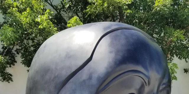 Miami Private Sightseeing Tour - Image 2