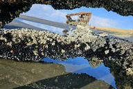 Oregon Coast Tour thumbnail 1