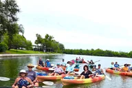 Sarasota Mangrove Kayak Tour with Hidden Beach thumbnail 6