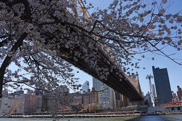 New York City Roosevelt Island Tour - Image 6