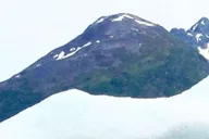 Girdwood Bears, Trains, and Icebergs Tour thumbnail 6