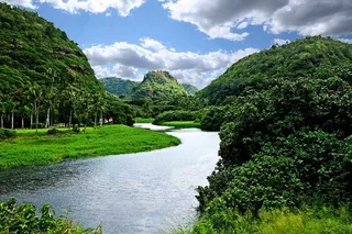 Oahu Circle Island Experience