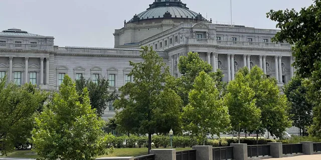 Washington DC Capitol Hill Architecture Walking Tour - Image 6