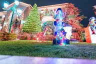 New York City Christmas Lights Tour in Dyker Heights thumbnail 6