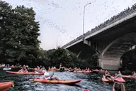 Austin Bat Bridge Kayak Tour thumbnail 4