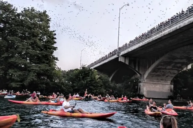 Austin Bat Bridge Kayak Tour - Image 4