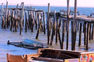 Boston Cape Cod and Plymouth Day Tour thumbnail 6