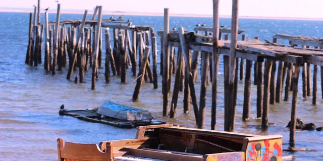 Boston Cape Cod and Plymouth Day Tour - Image 6