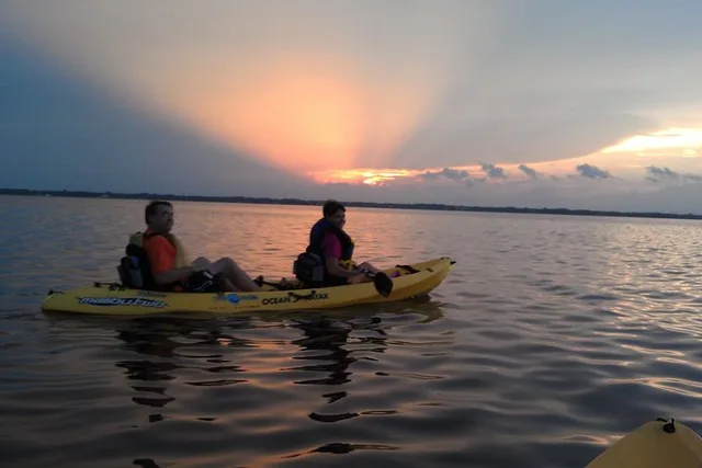 Brevard County Kayak Tour with Manatee & Dolphin Sightings - Image 3