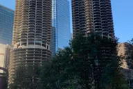 Chicago City Tour by Bus thumbnail 5