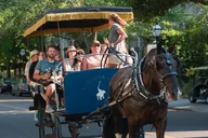 Charleston Horse & Carriage Historic Tour thumbnail 4