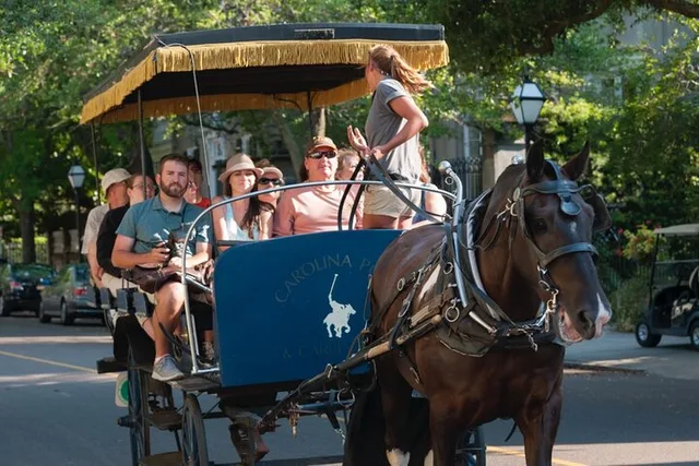 Charleston Horse & Carriage Historic Tour - Image 4