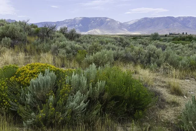 Big Sky Self-Guided Driving Audio Tour - Image 6