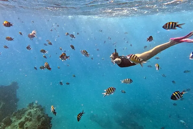 Kona Snorkeling Adventure Open Charter - Image 1