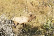 Denver Rocky Mountain National Park Tour thumbnail 6